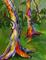 Art: Arboreal III by Artist Virginia Ann Zuelsdorf