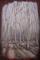 Art: The Forest (sold) by Artist Virginia Ann Zuelsdorf