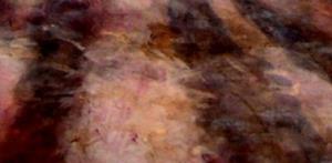 Detail Image for art The Forest (sold)