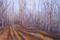 Art: Forest #4 (sold) by Artist Virginia Ann Zuelsdorf
