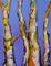 Art: Arboreal II by Artist Virginia Ann Zuelsdorf