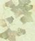 Art: Leaves   by Artist Cynthia Schmidt