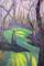Art: Cypresses III by Artist Virginia Ann Zuelsdorf
