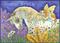 Art: APPALOOSA UNICORN by Artist Susan Brack