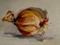 Art: Vidalia Onion-sold by Artist Delilah Smith
