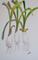 Art: Three Green Onions-sold by Artist Delilah Smith