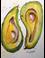 Art: Ying Yang Avocado by Artist Delilah Smith
