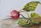 Art: One Radish by Artist Delilah Smith