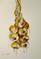 Art: Garlic-sold by Artist Delilah Smith