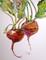 Art: Two Beets by Artist Delilah Smith
