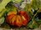 Art: Pumpkin-SOLD by Artist Delilah Smith