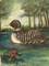 Art: (SOLD) Loon by Artist Vicky Helms