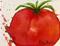 Art: Tomato by Artist Ulrike 'Ricky' Martin