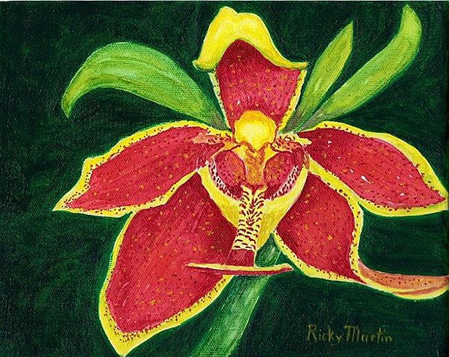 Art: Orchid in Bloom - SOLD by Artist Ulrike 'Ricky' Martin