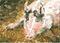 Art: Hog in Hay by Artist Melinda Dalke