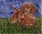 Art: Impression of a Dachshund by Artist Melinda Dalke