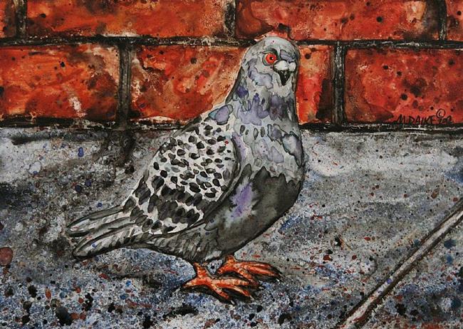 Art: Street Pigeon by Artist Melinda Dalke