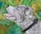Art: Loyal Blue Boy by Artist Melinda Dalke