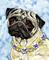 Art: Pansy Pug by Artist Melinda Dalke