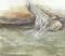 Art: Harris Shoals by Artist Amanda Makepeace