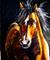Art: NIGHT WIND Third in the Series Wild Horses by Artist Laurie Justus Pace