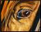 Art: Eagle Eye by Artist Laurie Justus Pace