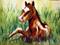 Art: Little Tex by Artist Laurie Justus Pace