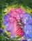 Art: Tree Hugger by Artist Sour Taffy