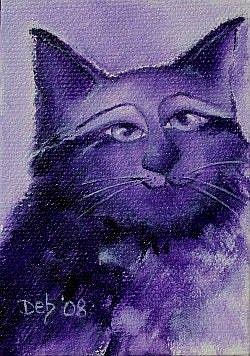 mushabelly purple cat