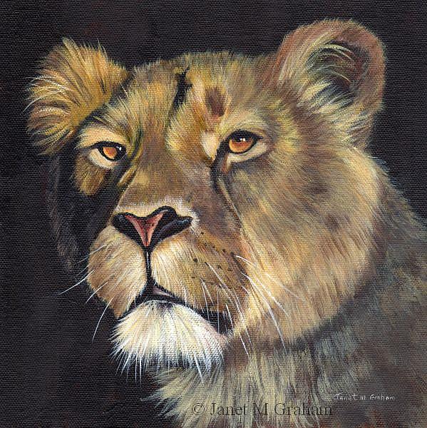 Art: Lioness 2 by Artist Janet M Graham