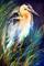 Art: BLUE HERON OF LOUISIANA by Artist Marcia Baldwin
