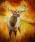 Art: ELK 06 by Artist Marcia Baldwin