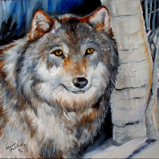 Winter Wolf - by Marcia Baldwin from Wildlife