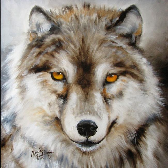 Art: WOLF AMBER EYES by Artist Marcia Baldwin