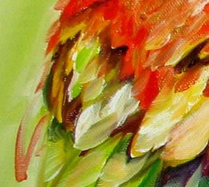 Detail Image for art MACAW TROPICAL