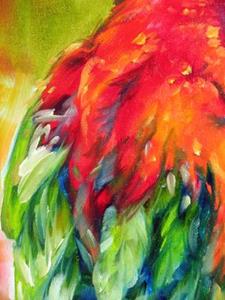 Detail Image for art MACAW PARROT II