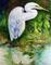 Art: WHITE EGRET REFLECTED by Artist Marcia Baldwin