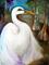 Art: WHITE EGRET IN CYPRESS by Artist Marcia Baldwin