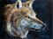 Art: WOLF in PASTEL by Artist Marcia Baldwin