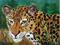 Art: Leopard Portrait by Artist Dia Spriggs