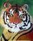 Art: Large Tiger Portrait by Artist Dia Spriggs