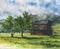 Art: Stephen's Creek Cabin by Artist Lynn Bickerton Chan