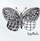 Art: Butterfly - Zentangle Inspired by Artist Ulrike 'Ricky' Martin