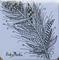 Art: Feather - Zentangle Inspired by Artist Ulrike 'Ricky' Martin