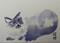 Art: Blue Point Cat by Artist Tracey Allyn Greene