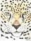 Art: jaguar by Artist Padgett Mason