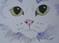 Art: Sweetie by Artist Padgett Mason