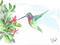 Art: Morning Nectar by Artist Padgett Mason