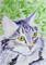 Art: Razz study #2 by Artist Padgett Mason