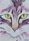 Art: Razz Study #4 by Artist Padgett Mason